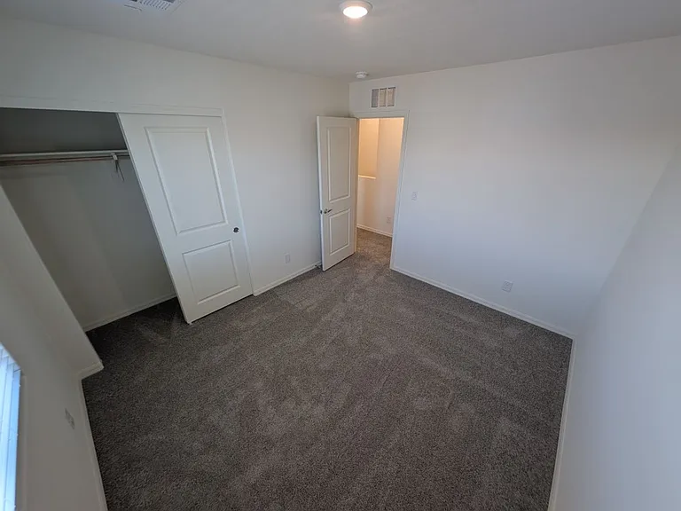 4935 Toad Lily St — Photo 21