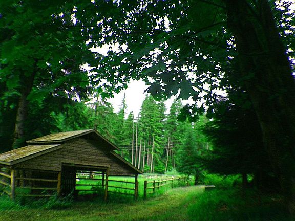 Stable/ride in shed