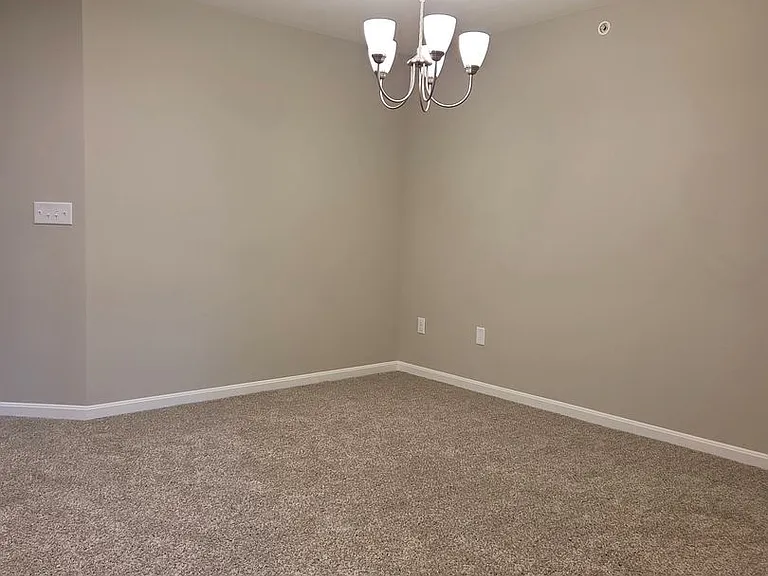 4238 Apple Branch Dr — Photo 9