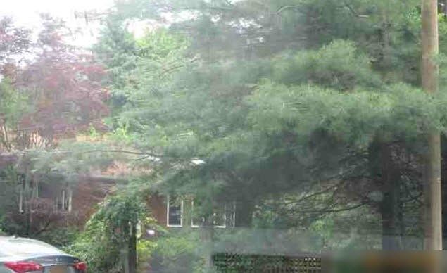 2nd image of 307 Maplewood Rd