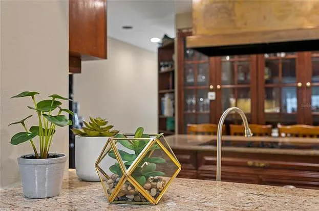 11212 Carrollwood Dr — Photo 30