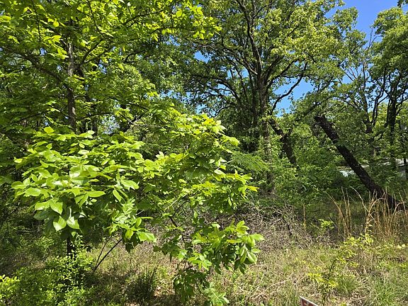 5th image of LOT 699 Shady Grove Rd