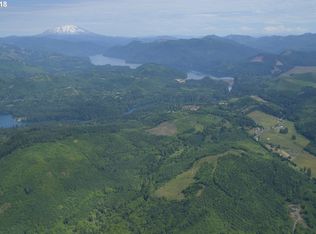 0 Yale Bridge Rd, Amboy Wa, WA 98601