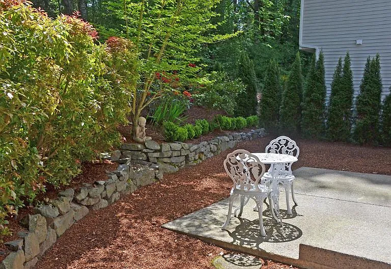 Back Patio
