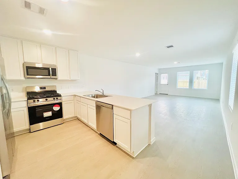 1376 Diamond Carnation Dr — Photo 2