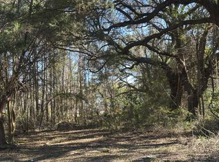 1641 Cuffy Ln, Charleston, SC 29412