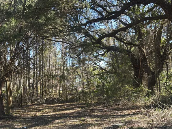 1641 Cuffy Ln, Charleston, SC 29412