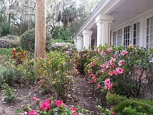 garden outside guest house
