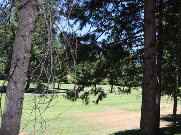 883 Meadow Dr, Arnold, CA 95223