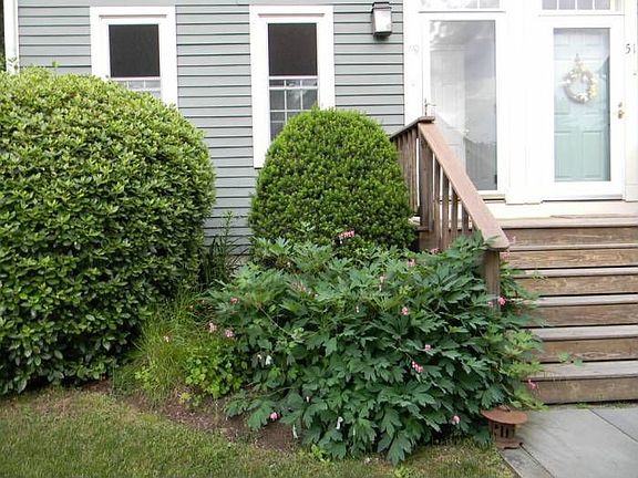 Nicely Landscaped