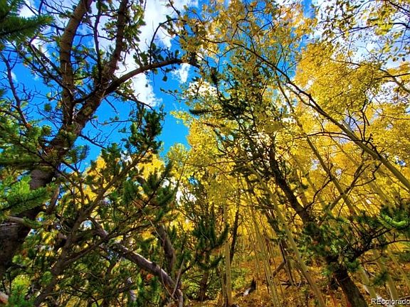 2nd image of 2000 Hard Hickory Trail LOT 4180