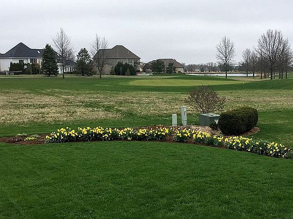  course view from back yard