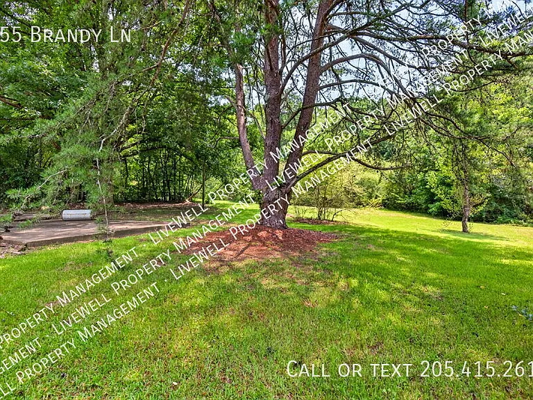 955 Brandy Ln — Photo 20