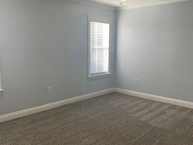 18 Clear Springs Ct — Photo 18