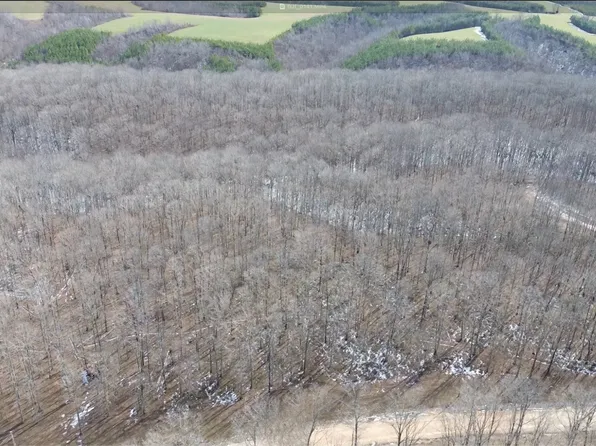 0 Three Rivers Dr Lot 31, Hurricane Mills, TN 37078