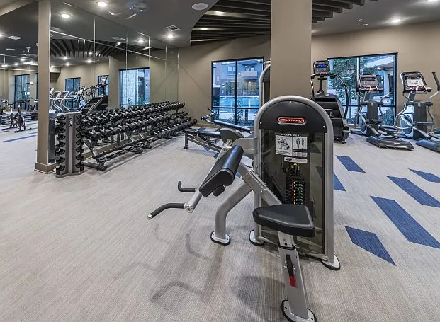 Fitness
