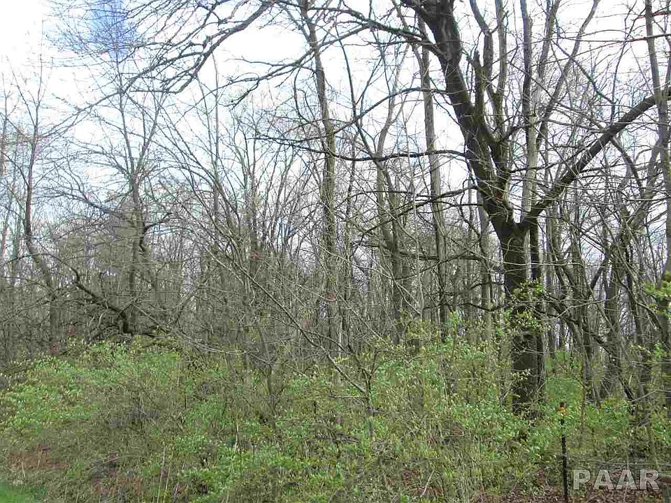 2nd image of 13709 W Zeine Ln
