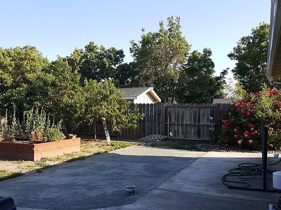 Expansive Yard