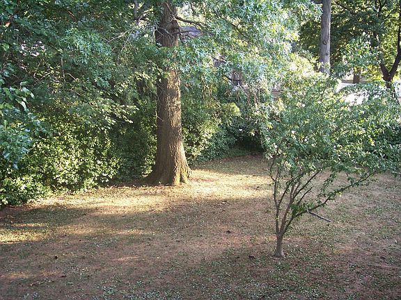 Backyard for relaxing moments