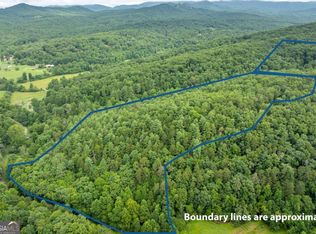 467 Gilliam Trl, Mineral Bluff, GA 30559