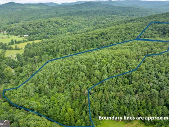 467 Gilliam Trl, Mineral Bluff, GA 30559