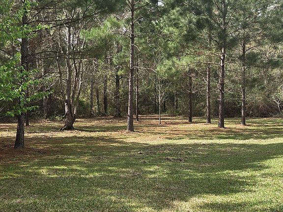 2nd image of 100 Horseshoe Ln