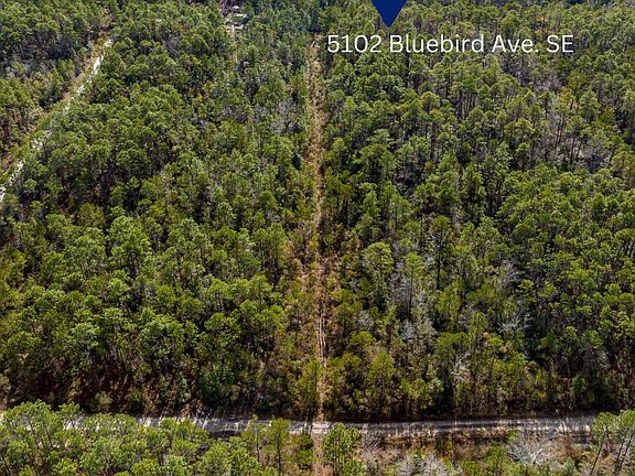 2nd image of 5102 Bluebird Avenue SE LOT 4