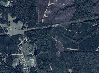 21 Bellwood Dr, Eclectic, AL 36024