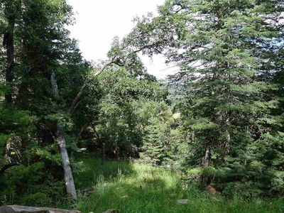 21 Elk Spgs, Cloudcroft, NM, 88317