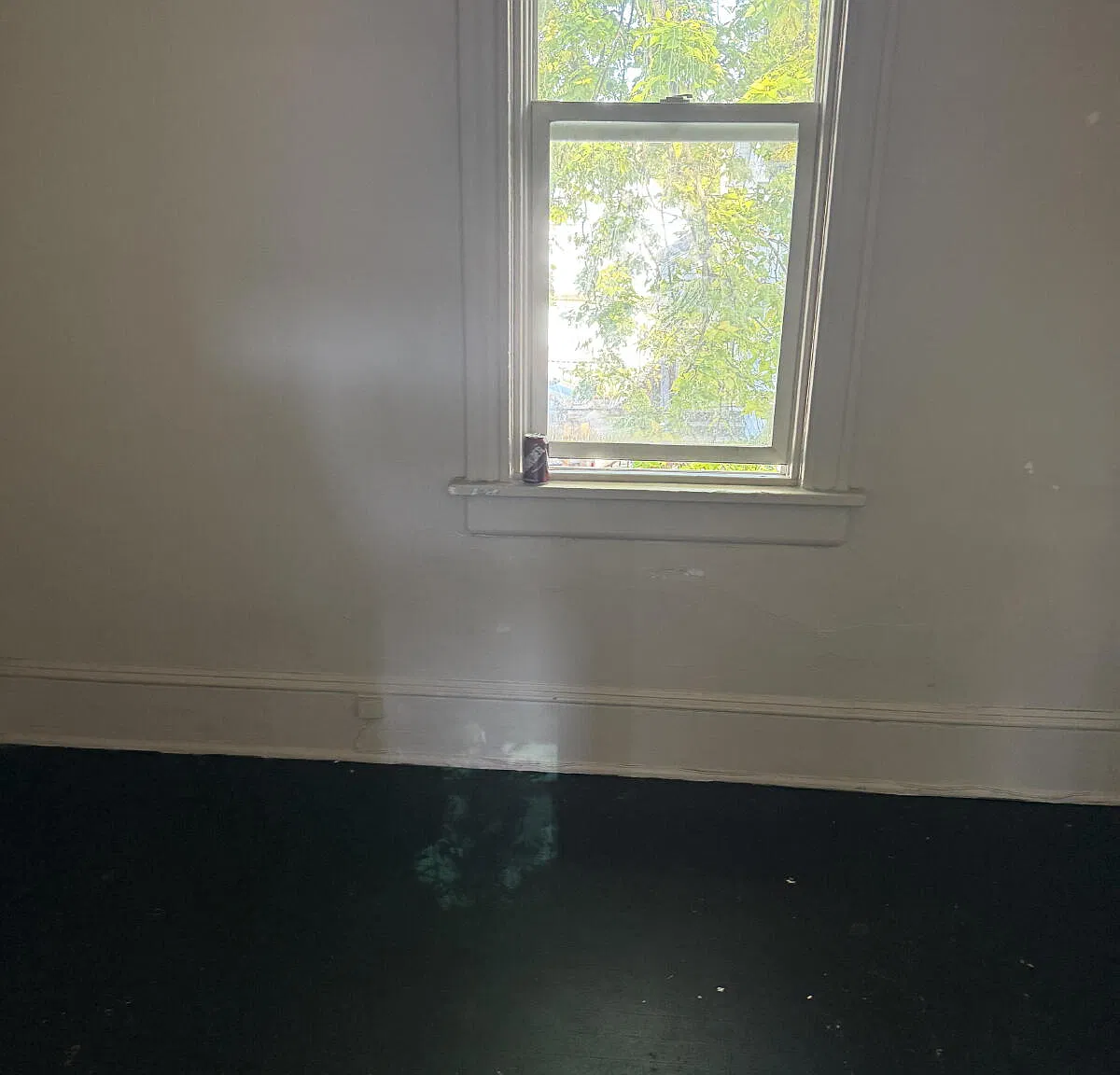 2 bed, 1.0 bath, $1,000 — Photo 3
