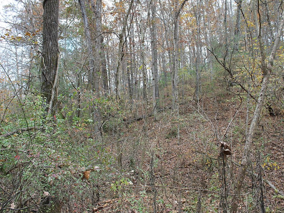 2nd image of Cedar Valley Rd