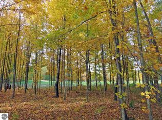 27 Misty Morning Trl UNIT -27, Thompsonville, MI 49683