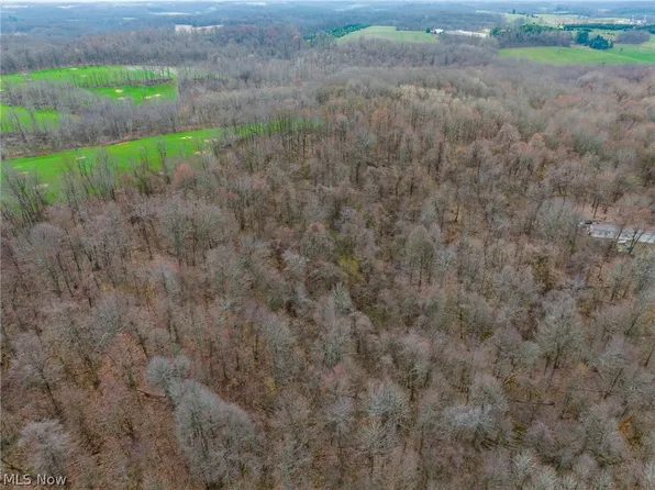 Pledge Rd SE, Carrollton, OH 44615