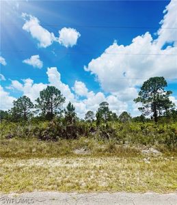 1007 Dixie Ave, Lehigh Acres, FL, 33972