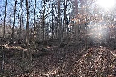 4th image of 39 SW Omega Park Rd