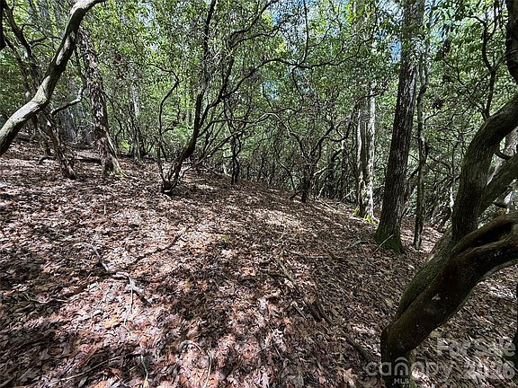 2nd image of Tellico Trl #42/22