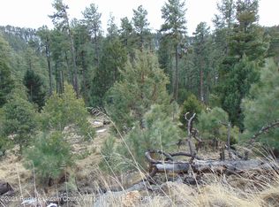 12 Chance Loop, Ruidoso, NM 88345