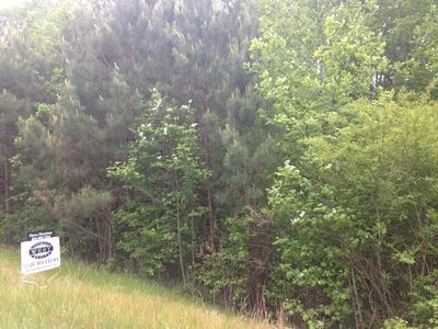 05 Rance Foster Rd, Bowdon, GA, 30108