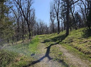 219 SW 1451st Rd, Holden, MO 64040