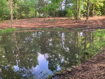 415 Thompson Rd, Unionville, TN, 37180