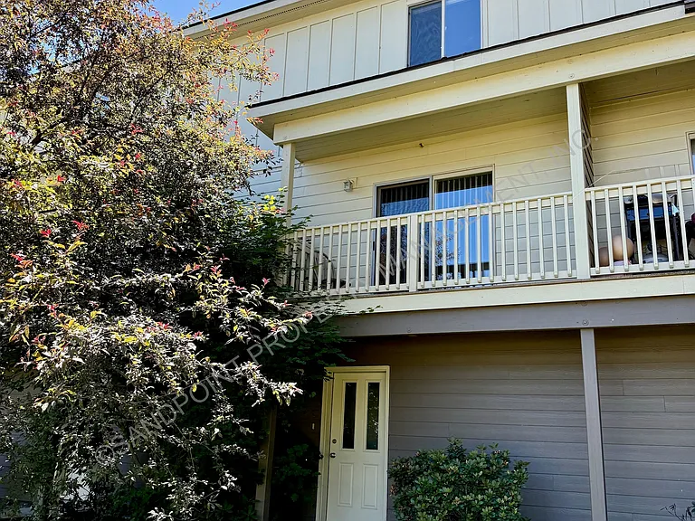 327 Olive St #C — Photo 4