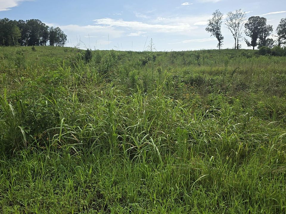 2nd image of 0 County Road 87
