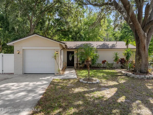 13923 Pathfinder Dr, Tampa, FL 33625