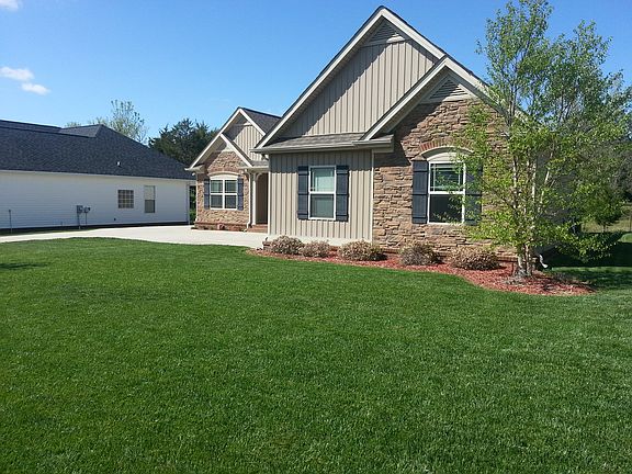 2 trees, unusual around here