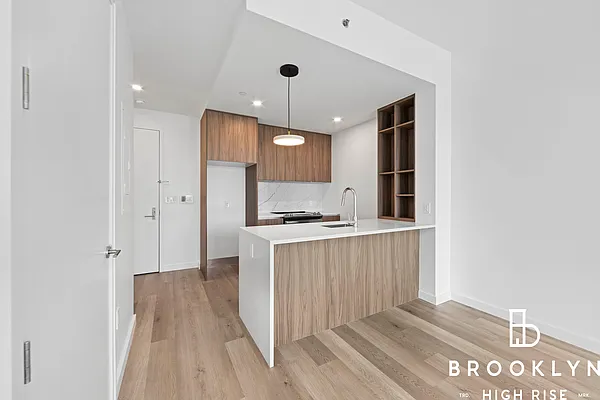 Rented by Brooklyn High Rise LLC | media 40