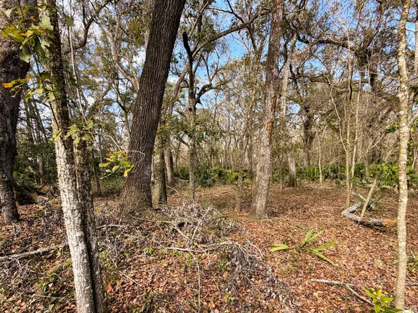292nd St Lot 17, Branford, FL 32008