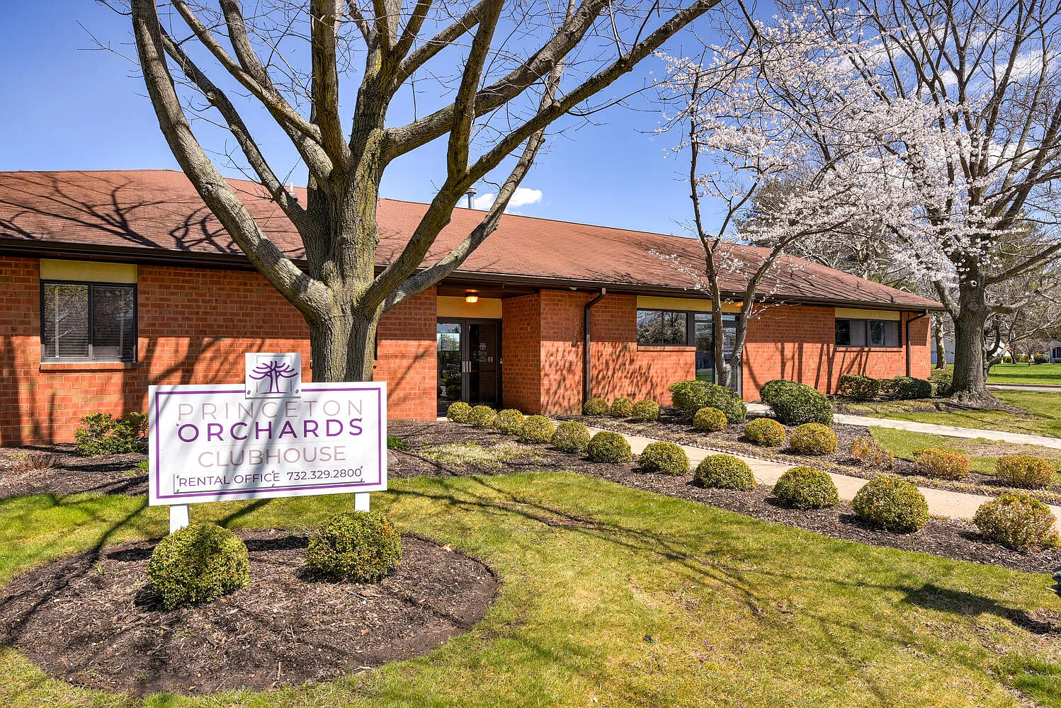 Princeton Orchards Apartments — Photo 4