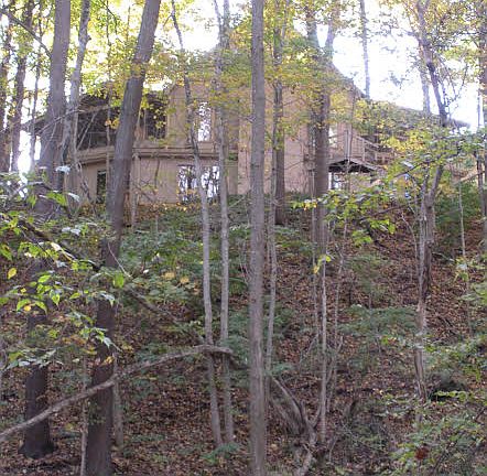 back view from woods