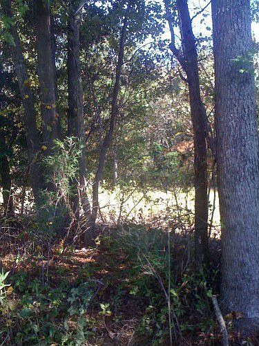 2nd image of 3020 Manning Rd