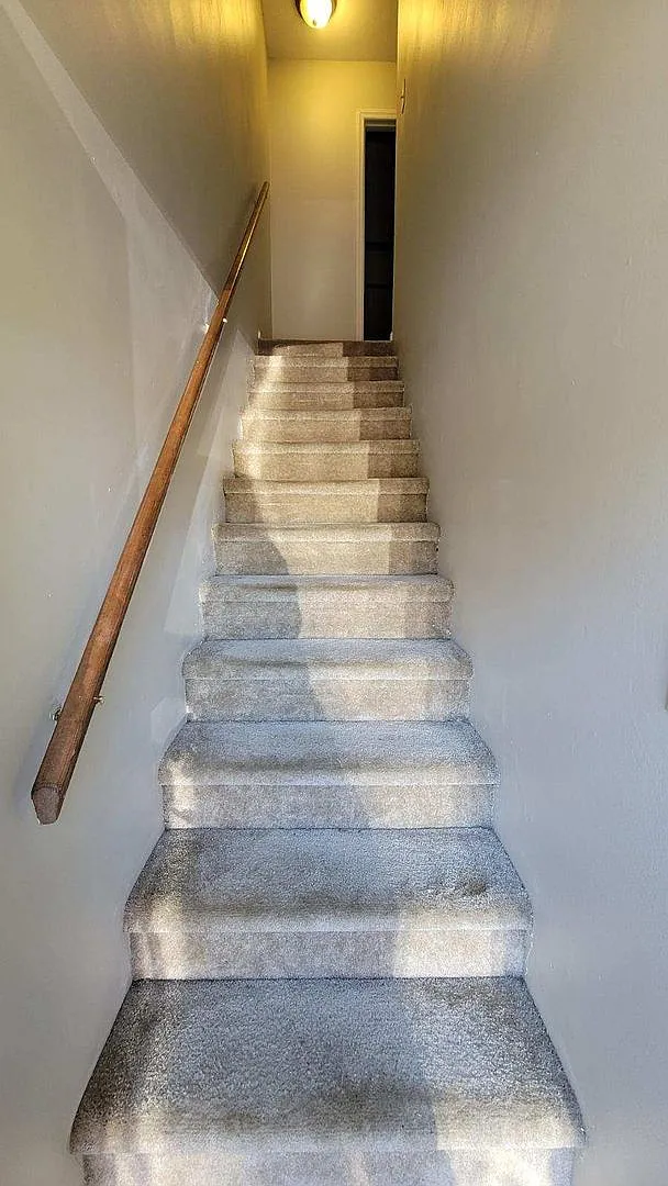 Cedar Fork Apartments — Photo 4